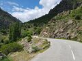 Corse 038